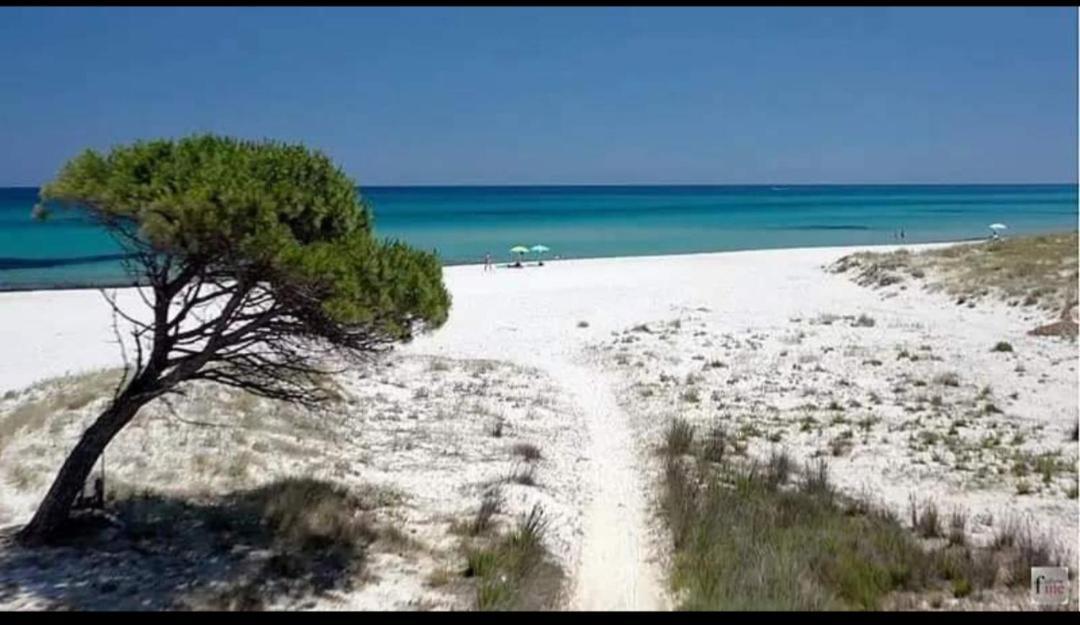 Casa Vacanza سينيسكولا المظهر الخارجي الصورة